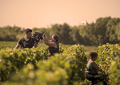 Sociando Mallet - Les vignobles 1/3